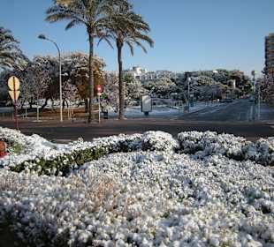 Plaja de Palma im Schnee 