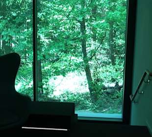 Naturparkzentrum Ruhestein