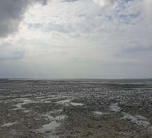 Naturstrand Hilgenriedersiel