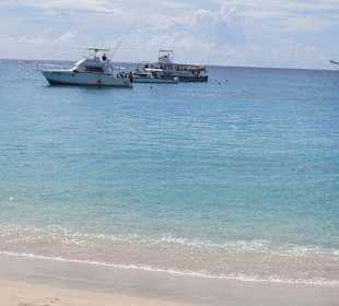 Boote
