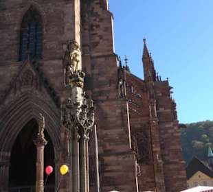 Freiburger Münster