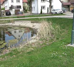 Zehntscheuer Seißen