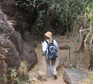 Auf Wanderschaft im Nationalpark