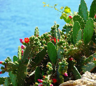 Blick zum Hafen von Antalya