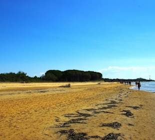 Freie Strandbereiche