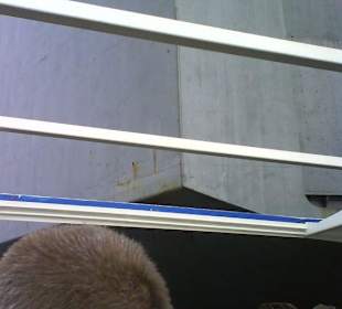 Hafenrundfahrt Bremerhaven