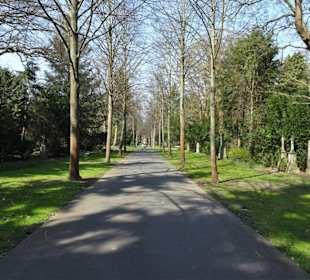 Rundgang über den Friedhof Engesohde