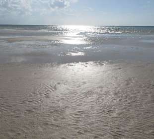 Fußmarsch von ca.1,5 km