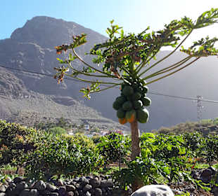 Wandern Valle Gran Rey