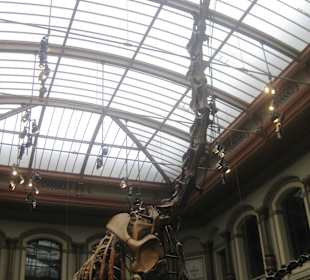 Naturkundemuseum