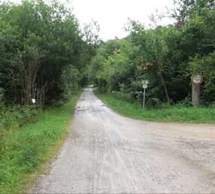 FriedWald Schönbuch