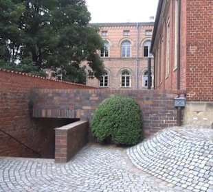 Meeresmuseum Stralsund