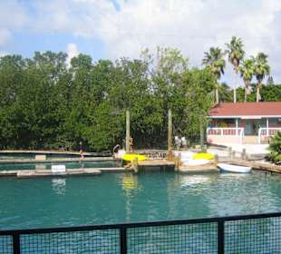 Miami Seaquarium