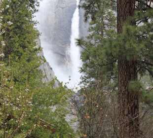 Yosemite Nationalpark