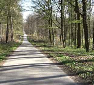 Rotwilderlebnispfad