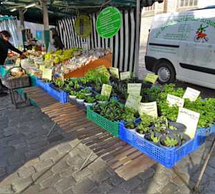 Rundgang über den Wochenmarkt Norden