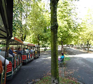 Im botanischem Garten