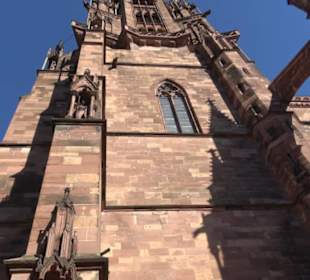 Freiburger Münster