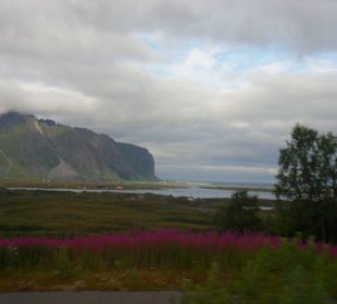 Letni krajobraz na Lofotach