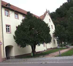 Schloss Wolfach