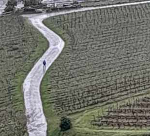 Wandern Rüdesheim am Rhein