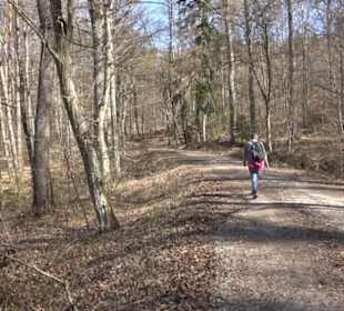 Geschichtlicher Lehrpfad Einsiedel