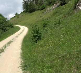 Tiefental Aichstetten