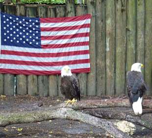 Homosassa Wildlife Park