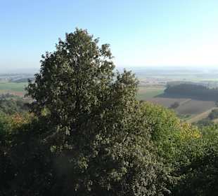 Burgruine Bussen Offingen