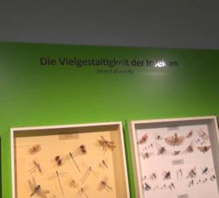 Haus der Natur