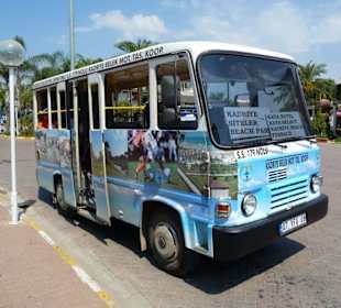 Bus local