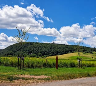 Stadtrundgang Bad Kreuznach
