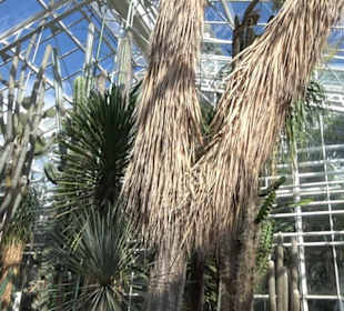 Gewächshäuser Botanischer Garten