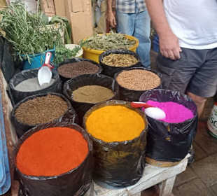 Punta Cana auf Deutsch - einfach schöne Ausflüge