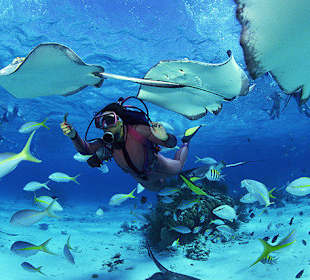 Scuba Diving and Snorkeling