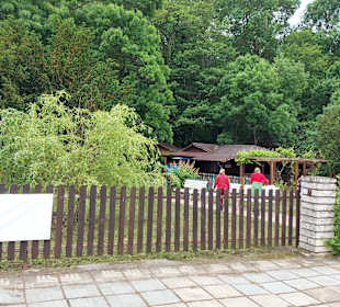 Albena 
