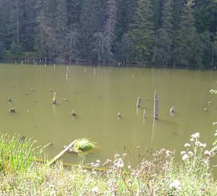 Lacul Rosu - ca. 20 km vom Hotel entfernt