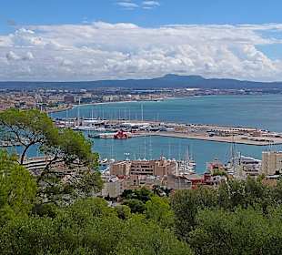 Hafen Palma de Mallorca