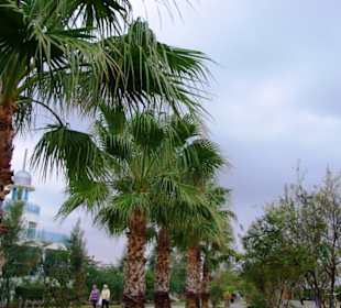 Aufgenommen vom 23.-29.11.2013