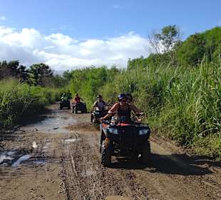 Durch Zuckerrohr-Felder 