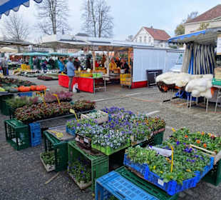 Rundgang über den Wochenmarkt Pferdemarkt