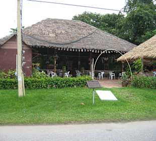 The Horny Gecko Grill