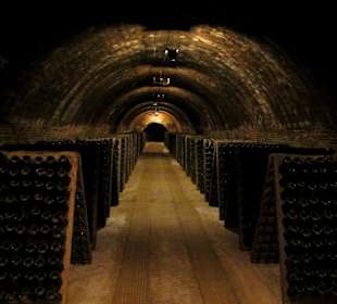 Codorniu - Kellergewölbe