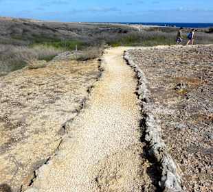 Weg zur Boka Wandomi