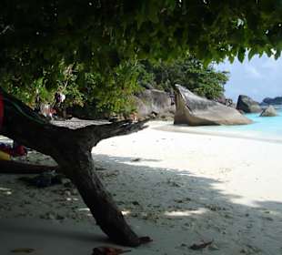 Similan Island - Strand