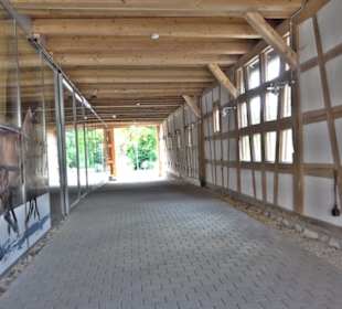 Haupt- und Landgestüt Marbach