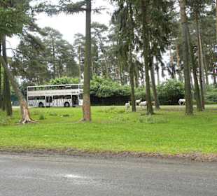 Serengeti Park Hodenhagen