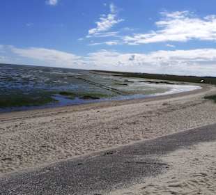 Insel Röm, Rømø, Romo