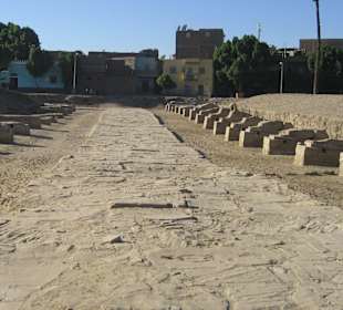 Sphinx Allee am Tempel Mut