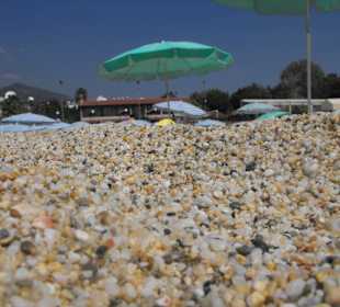 Żwirek na plaży